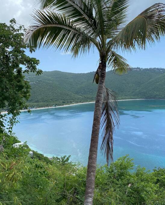 Contant  Mid-Century: Caribbean Style 아파트 외부 사진